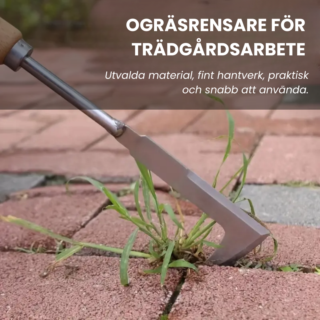RotRens™ - Rensar från roten