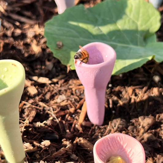 BiOas™ – Liten vattenplats, stor skillnad